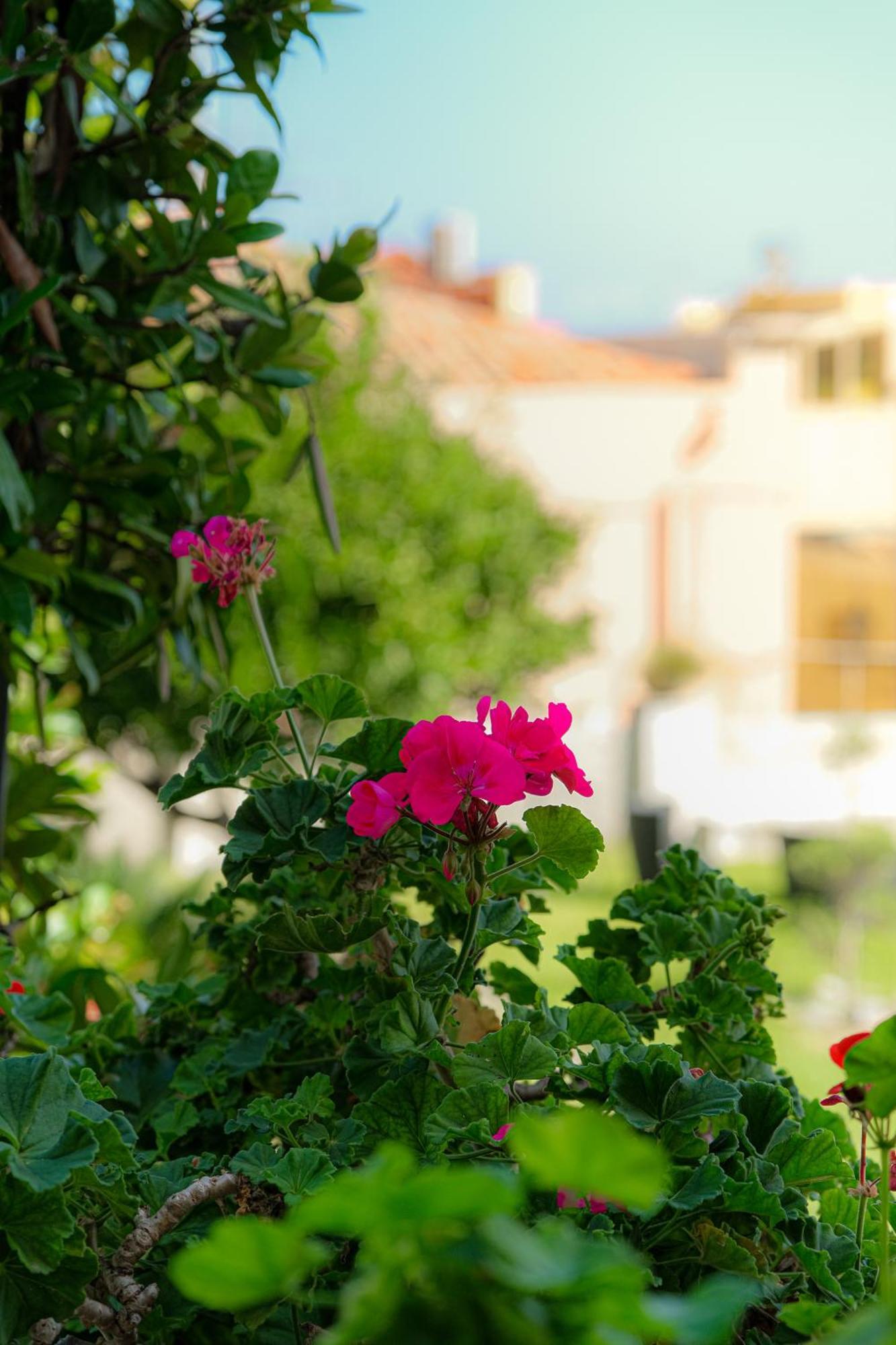 مبيت وإفطار ميلاتسو L'Antico Borgo المظهر الخارجي الصورة